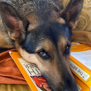 Meet your Posher, Posh